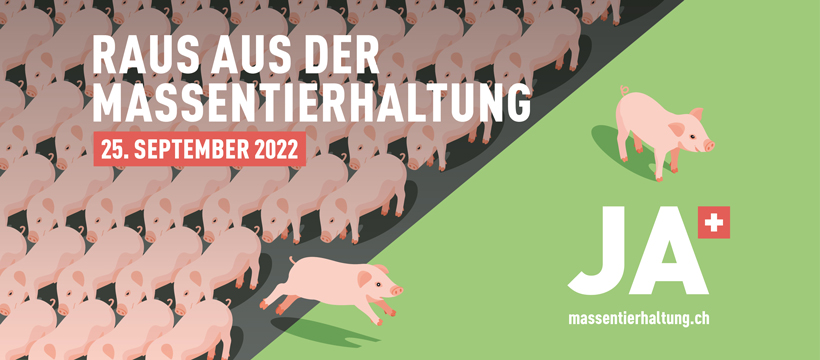 Am 25. September JA stimmen zur Initiative gegen Massentierhaltung