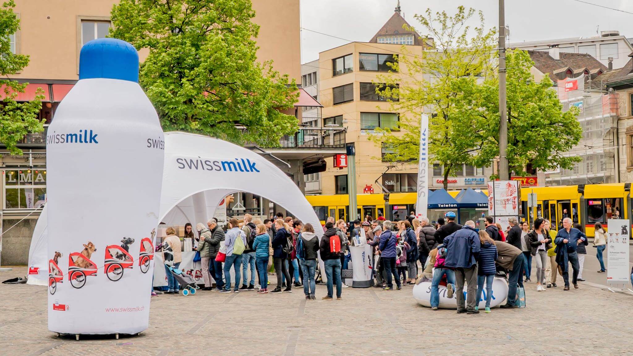 Kuh «Lovely» mit der langen Nase