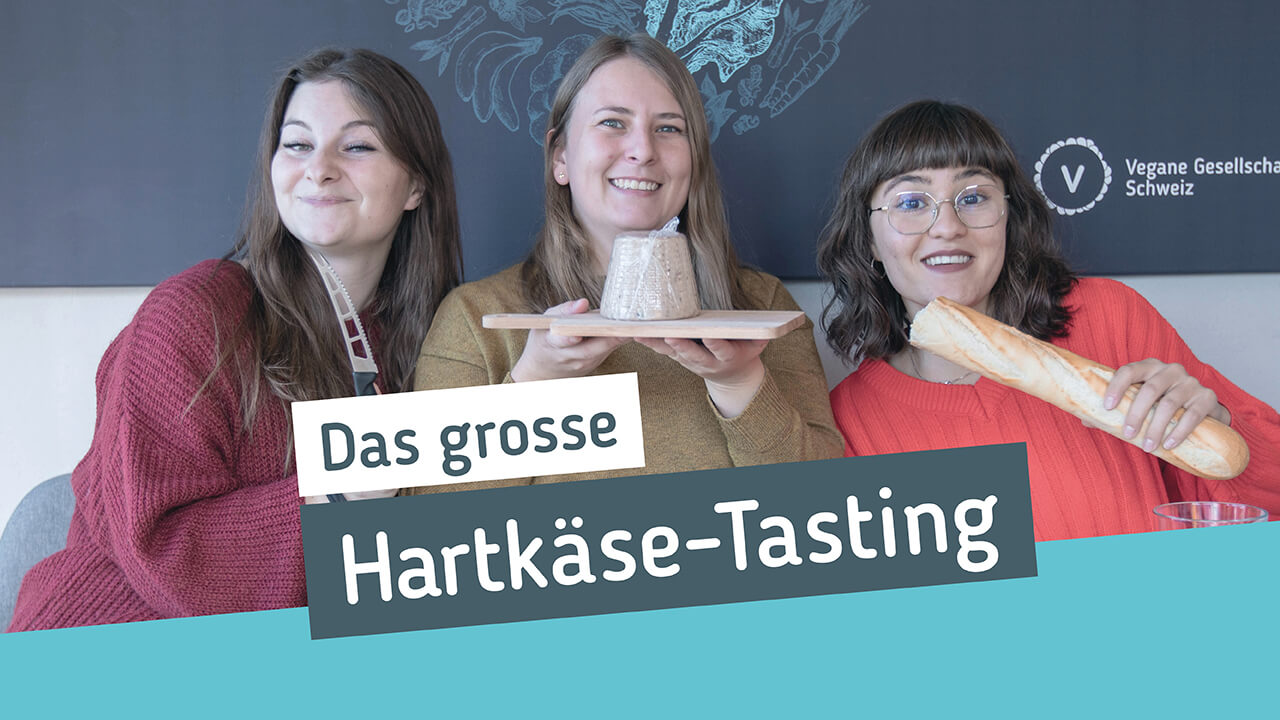 Veganer Hartkäse im Test
