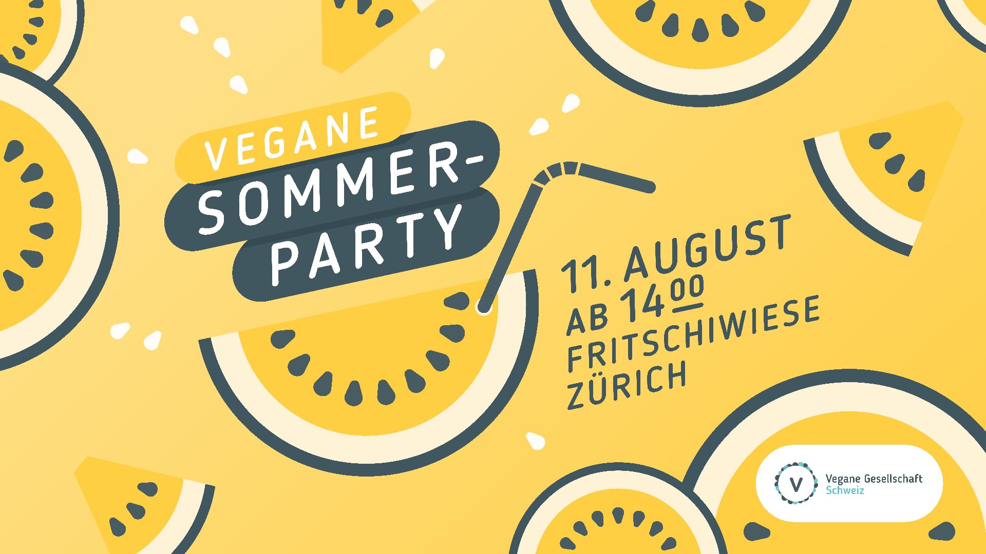 Sommerparty auf der Fritschiwiese ZH