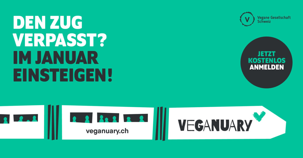 Den Zug verpasst? Im Januar einsteigen!