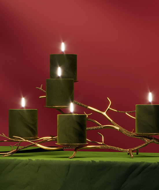 Vegane Adventskalender 2024
