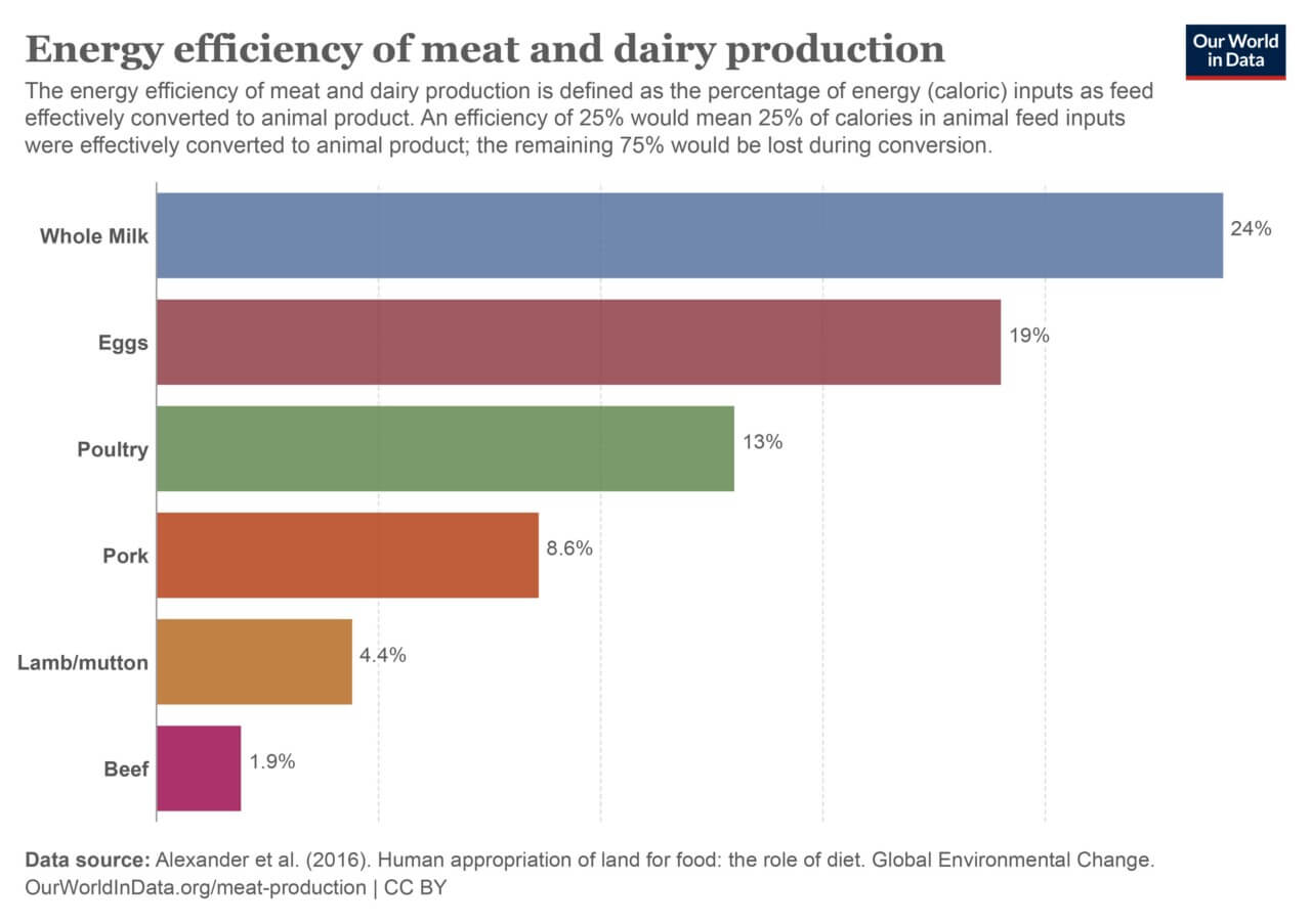 Energy efficiency of meat and dairy production
