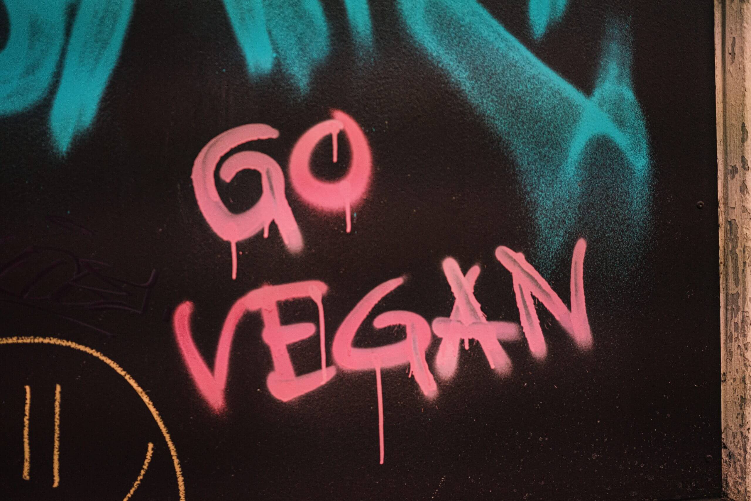 Fragen und Antworten zum Veganismus Nr.1