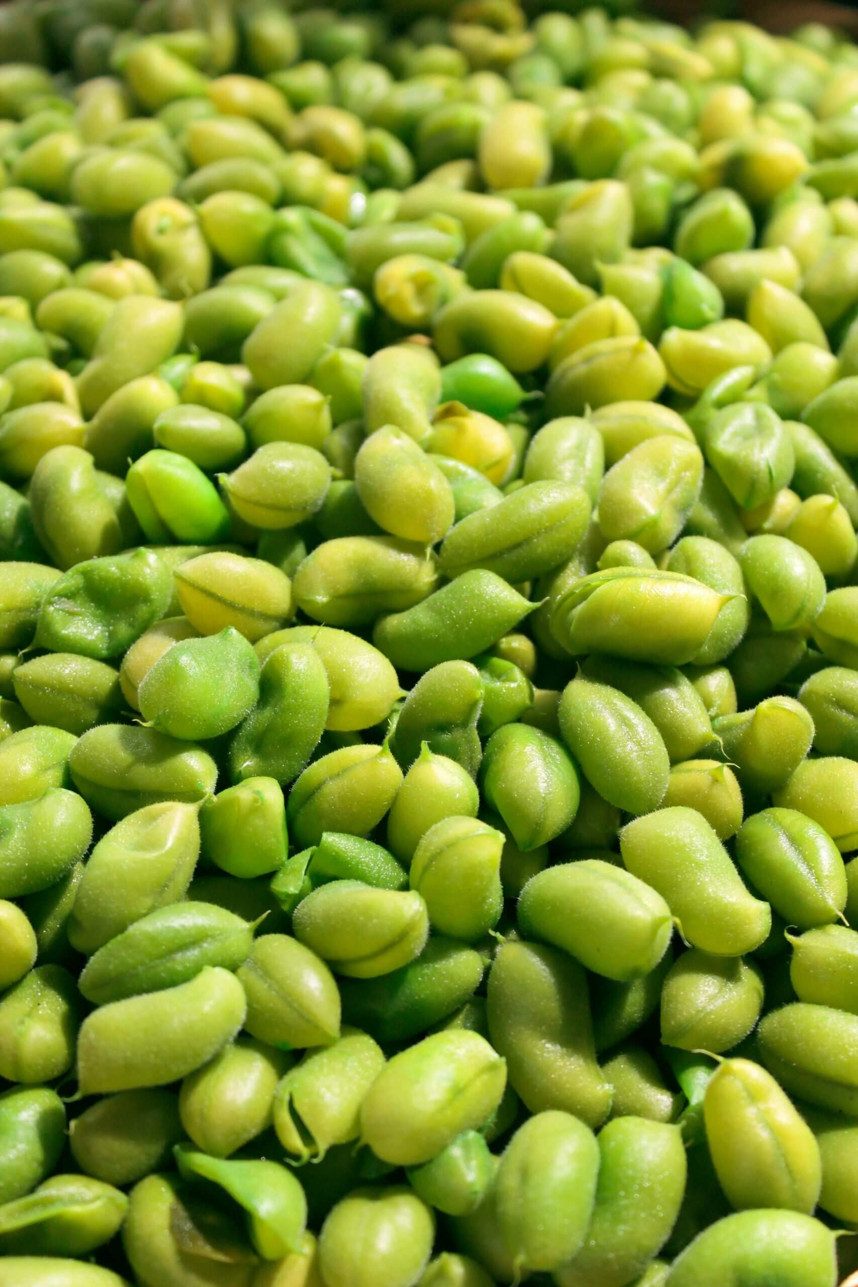 Sojaunverträglichkeit in der veganen Ernährung: Herausforderungen und Alternativen