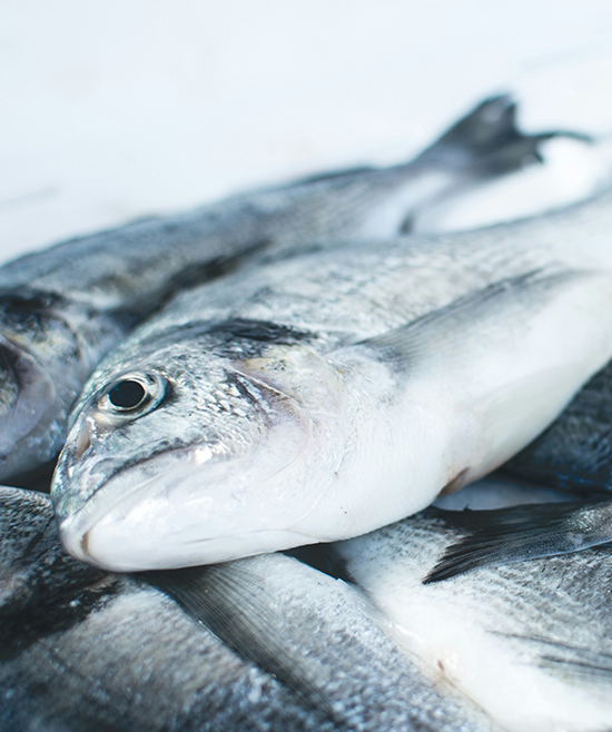 Wie gesund ist Fisch? Wir schauen genauer hin
