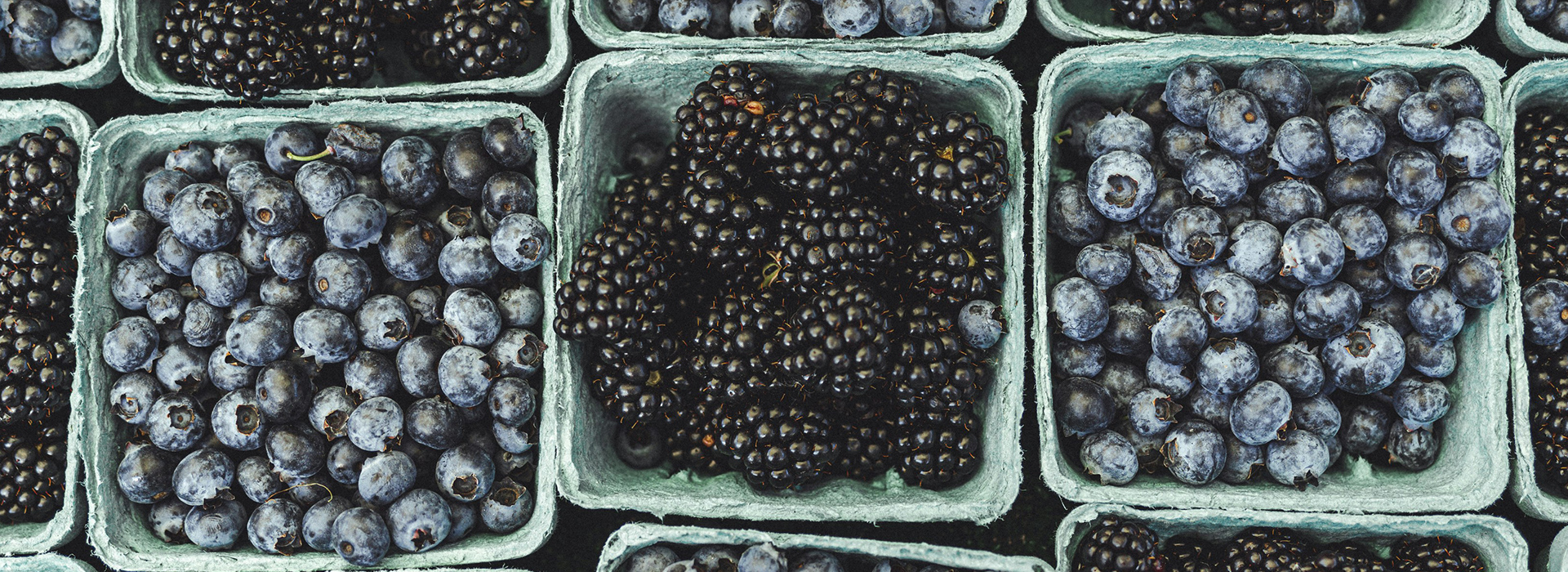 Antioxidantien: So stärkst du deine Gesundheit mit veganen Lebensmitteln