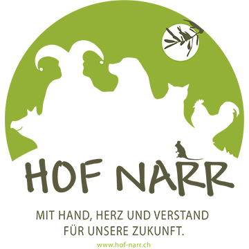 Hof Narr