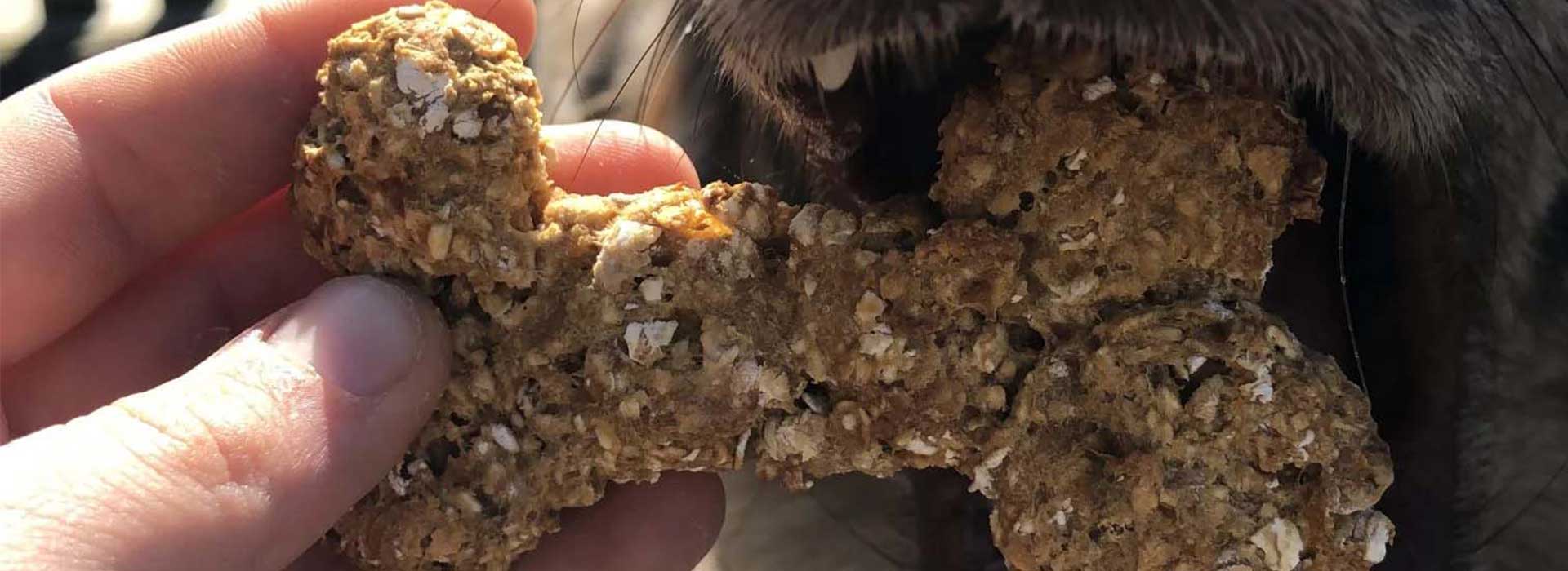 Vegane Hundeguetzli