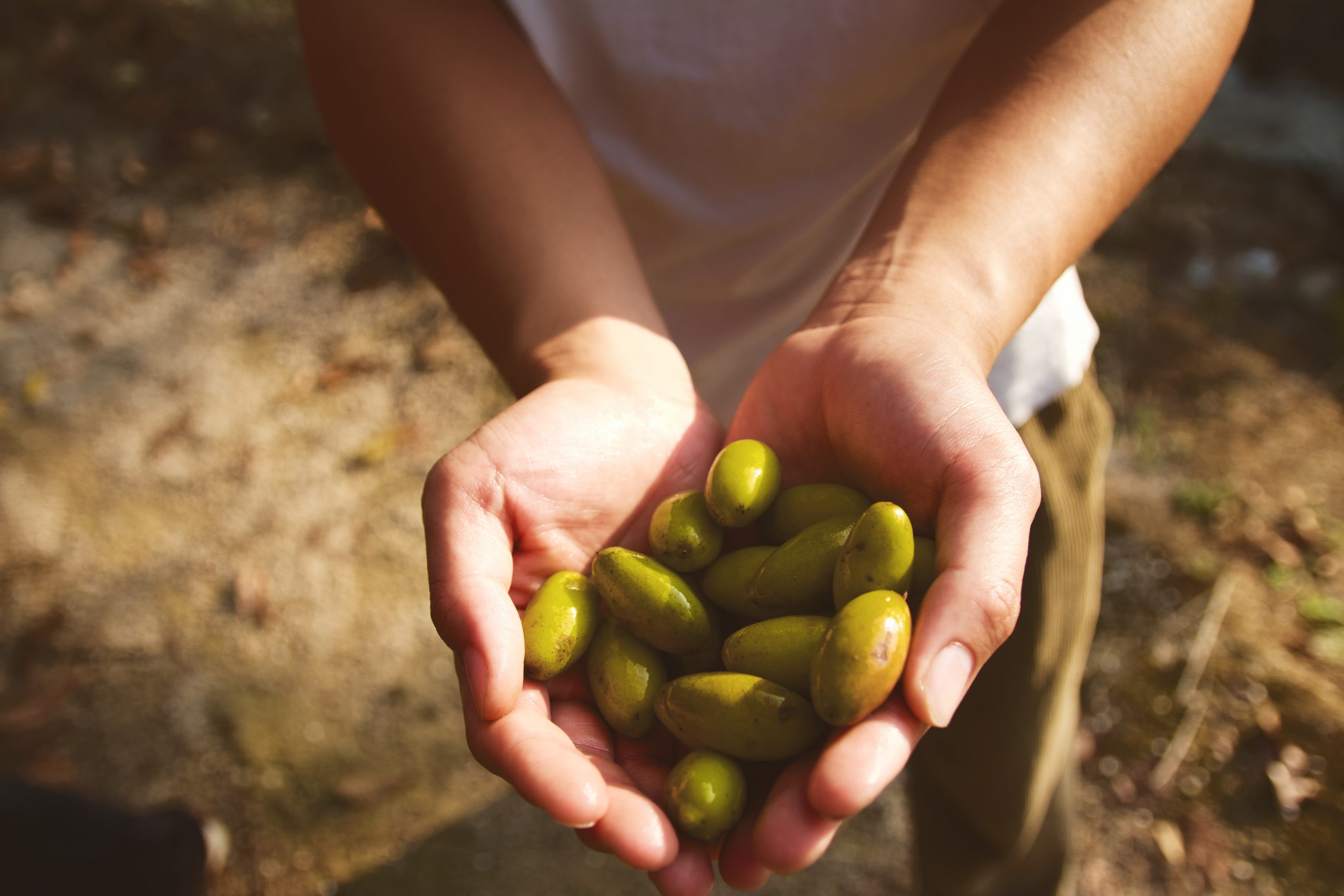 Wie gesund ist Soja? 5 Mythen im Check