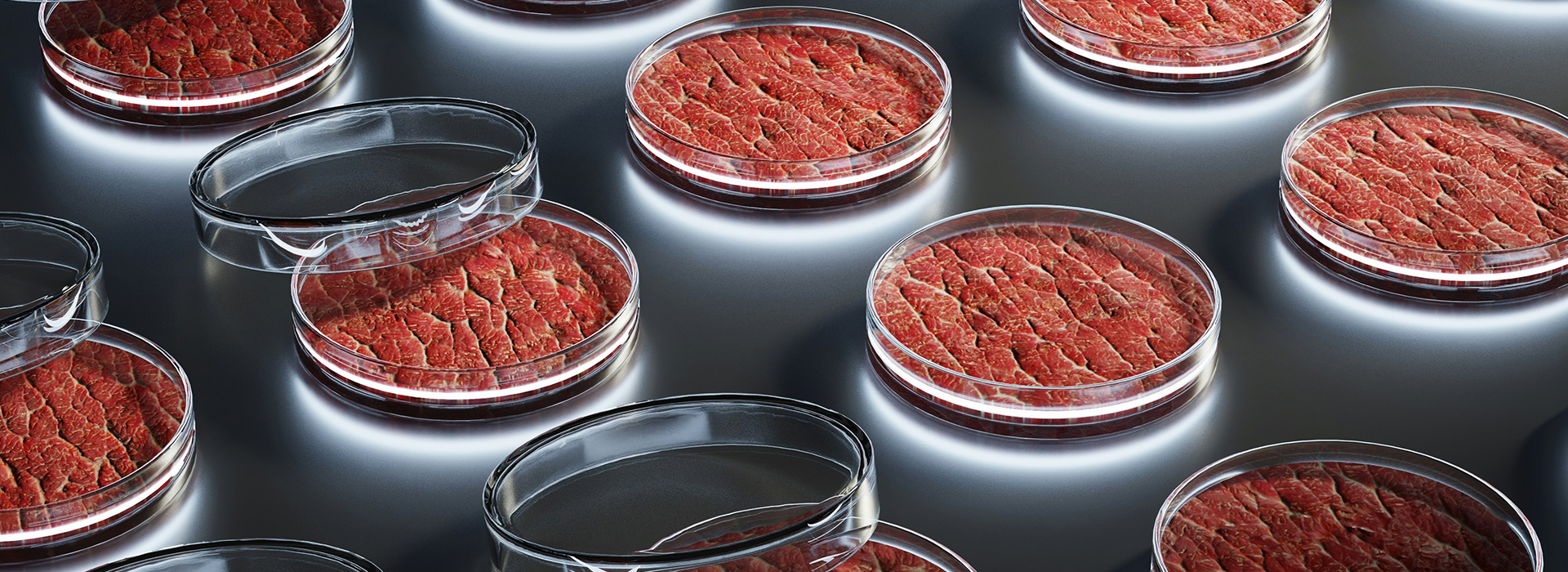 Zwei Meinungen, ein Thema: In-vitro-Fleisch