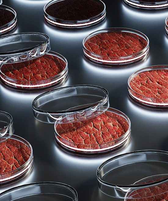 Zwei Meinungen, ein Thema: In-vitro-Fleisch