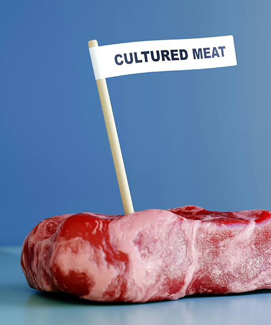 Wie Laborfleisch die Ethik der veganen Bewegung verändern könnte