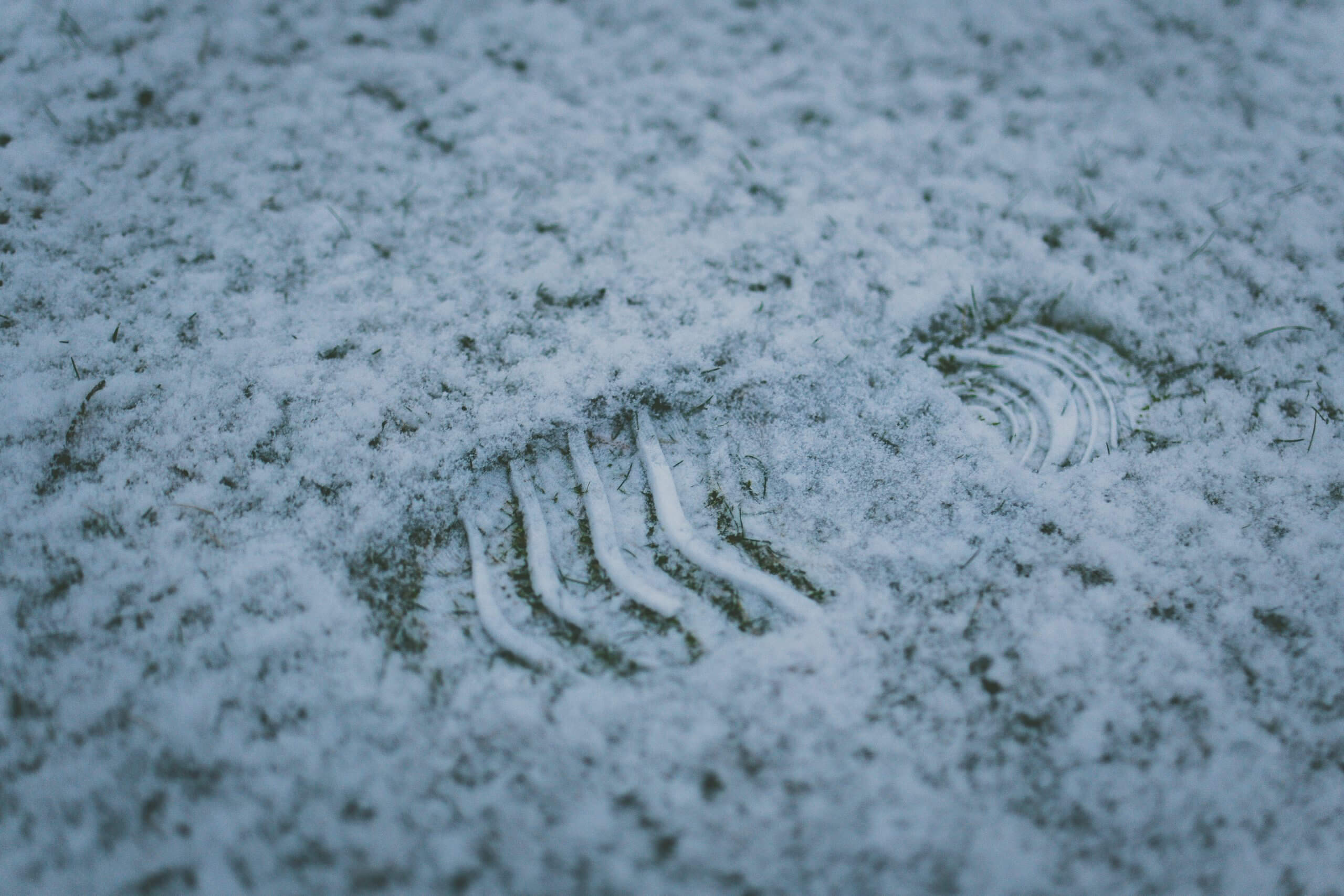 Vegane Winterschuhe: Tierfreundlich durch den Winter