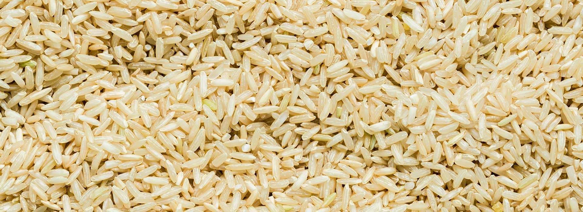 Rice Rice Baby