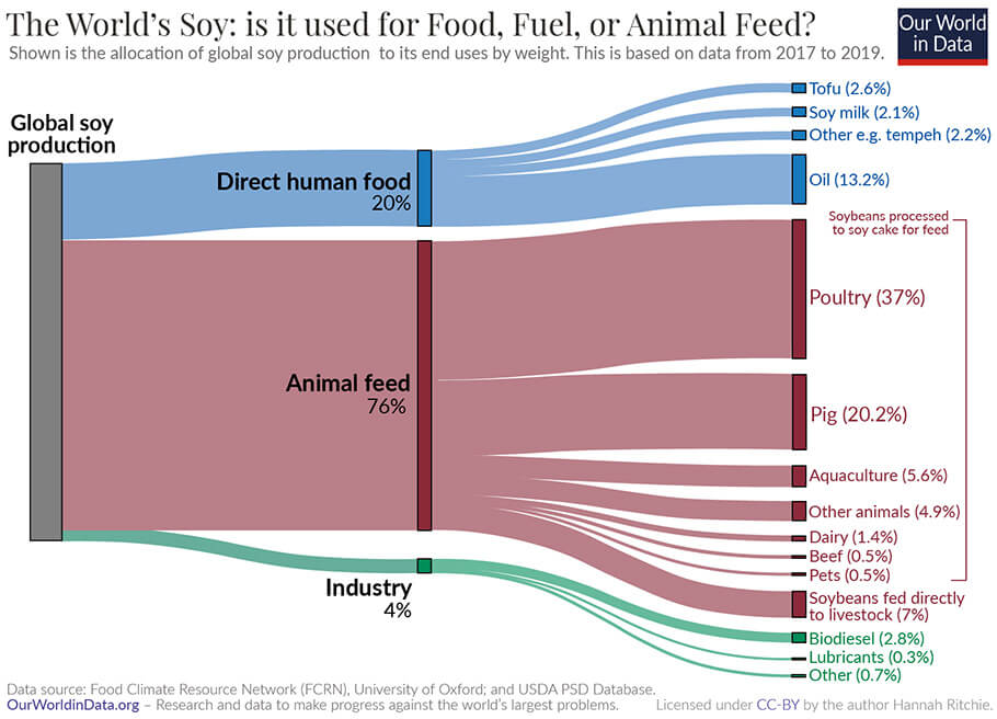 The World's Soy: Is it used for Food, Fuel or Animal Feed