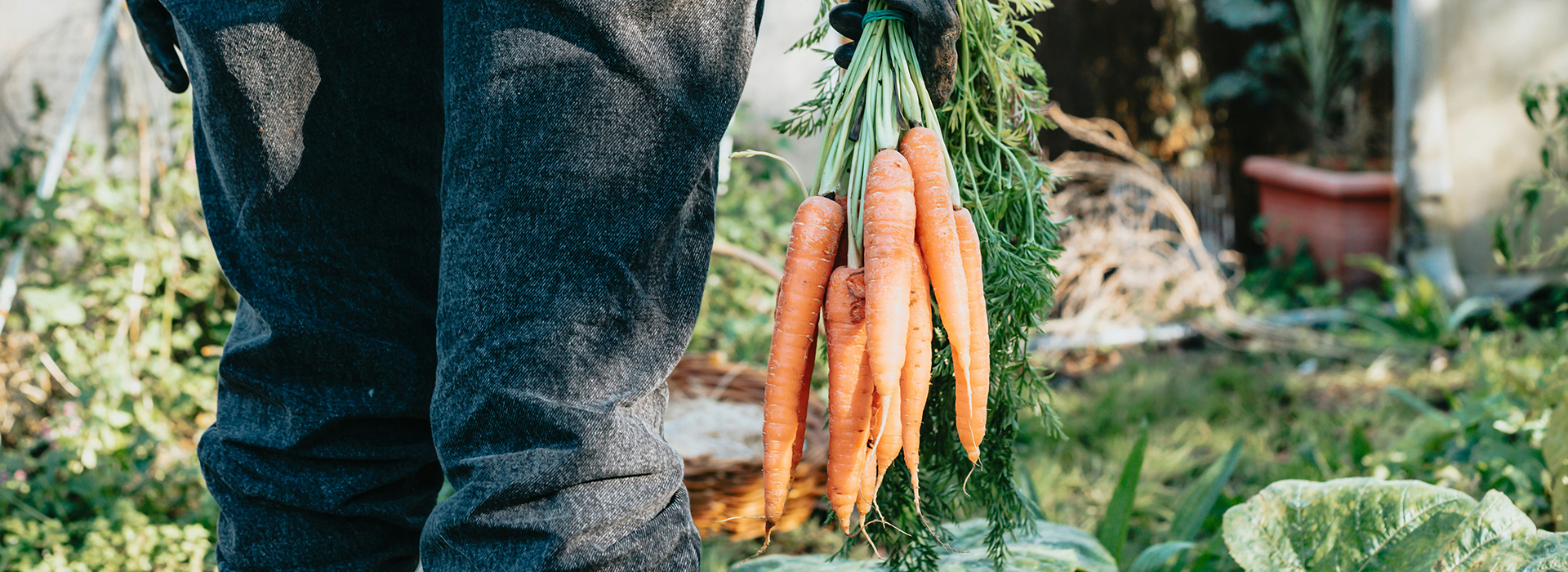 TransFARMation: Die Zukunft der Schweizer Landwirtschaft – Eine friedliche Revolution