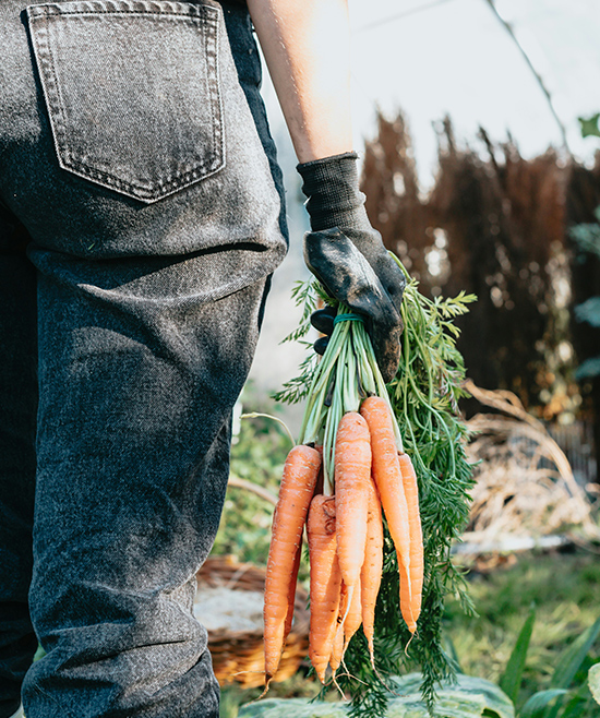 TransFARMation: Die Zukunft der Schweizer Landwirtschaft – Eine friedliche Revolution