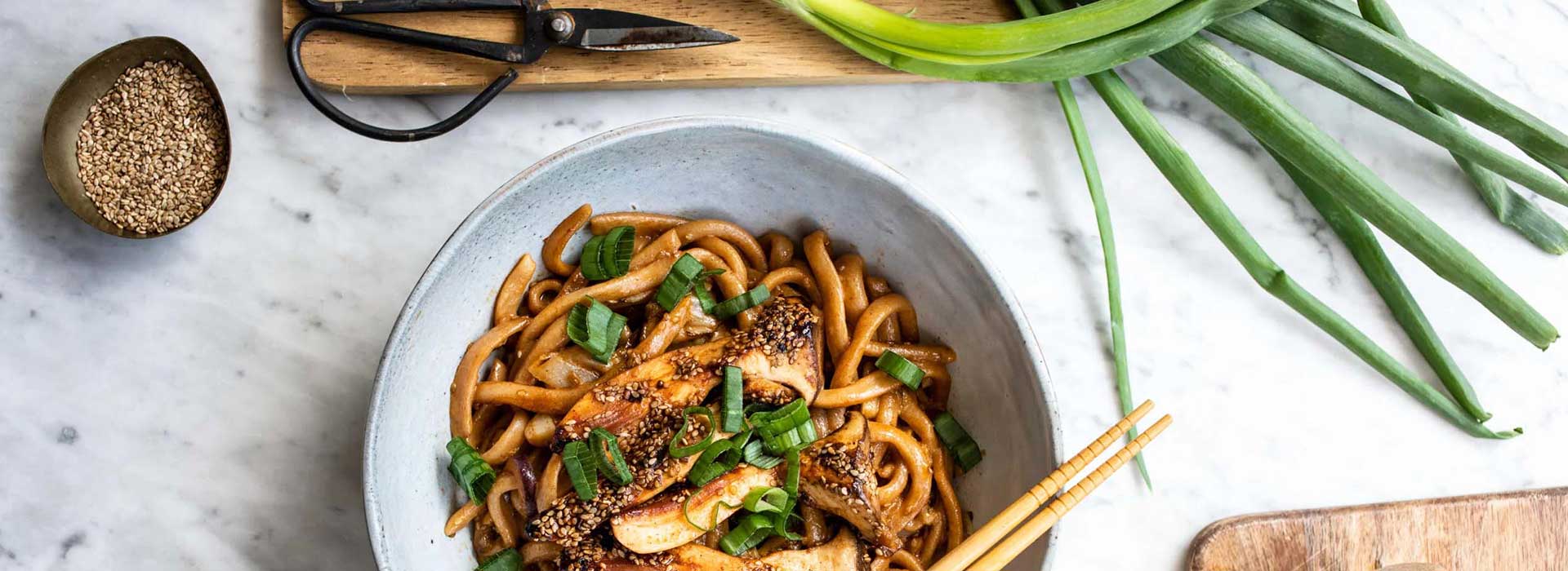Gebratene vegane Udon-Nudeln