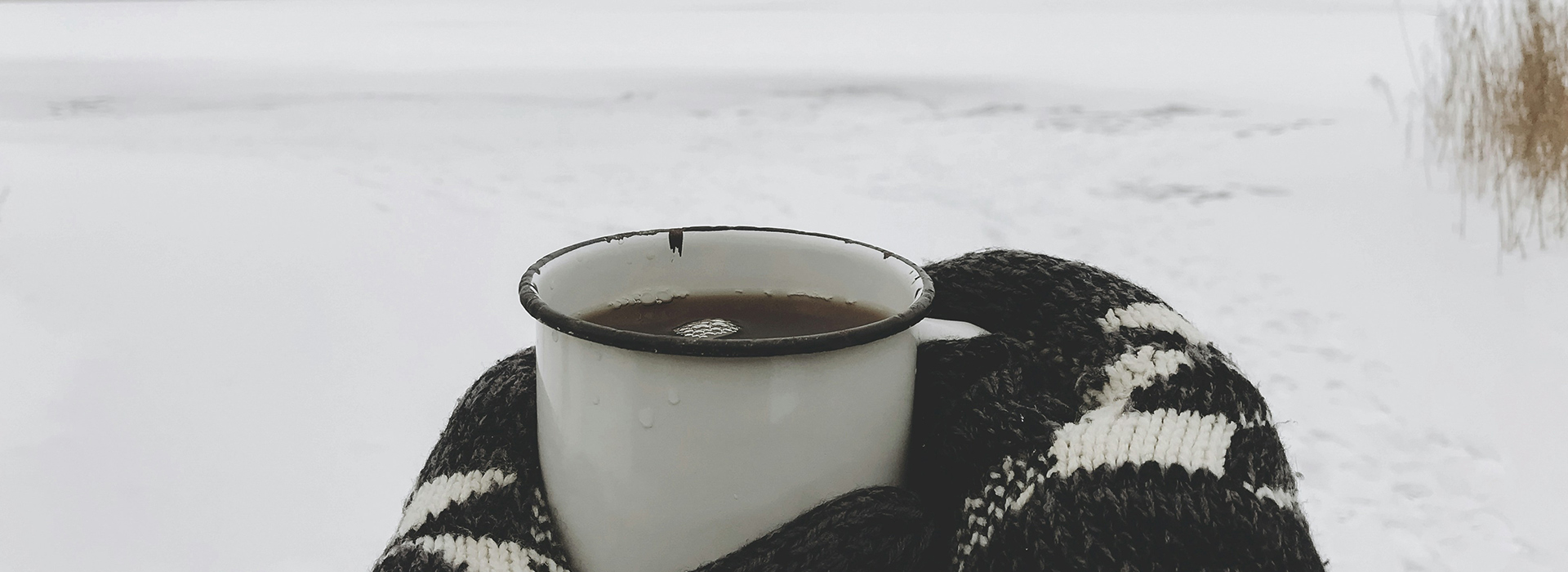 Vegane Ernährung für die Wintergesundheit: So bleibst du fit und gesund