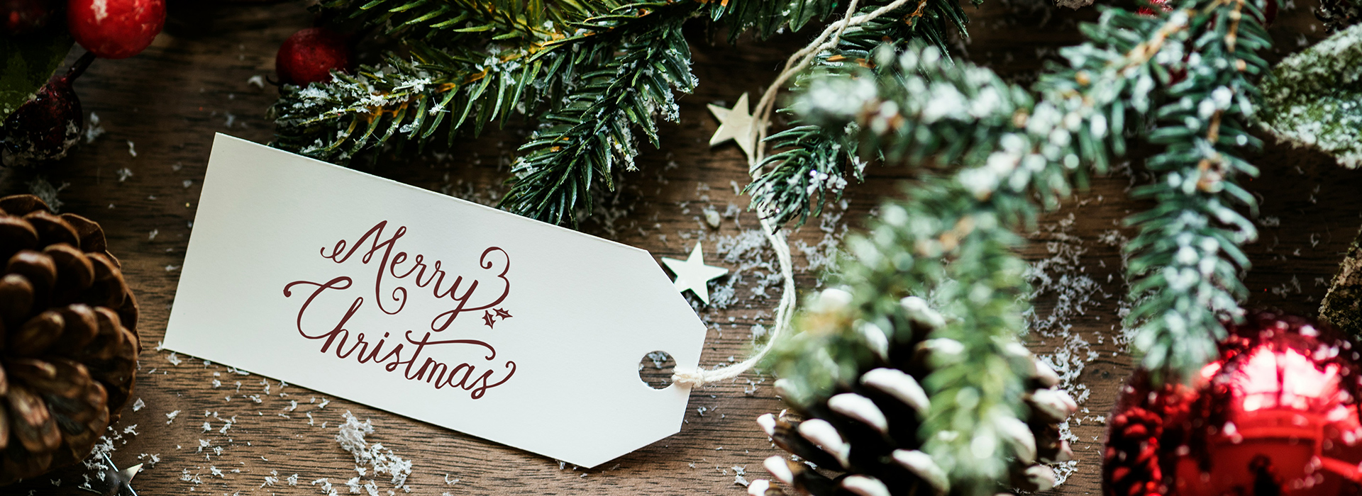 Vegane Weihnachten – Entspannt durch die Feiertage